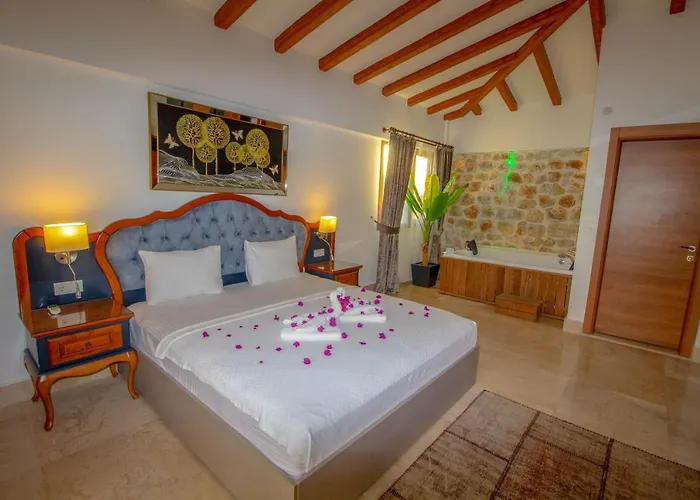 Patara Deluxe 3+1 Villa, Oezel Havuzlu, * 费特希耶