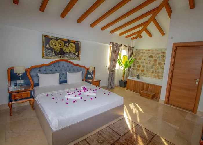 别墅 Patara Deluxe 3+1 Villa, Oezel Havuzlu, 费特希耶